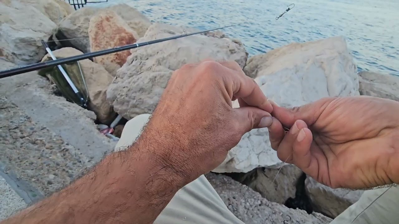 👉 Pêche en digue au bord de mer 🌊 | Appâts naturels, eschage crabe & surprises en vidéo