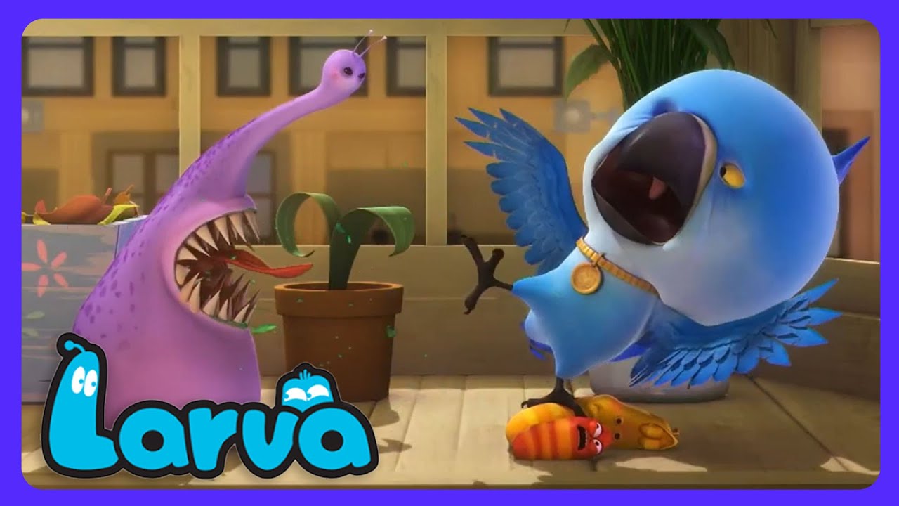 Larva - Il ritorno di Violet! | Cartoni per Bambini | WildBrain Montagna dell'Avventura