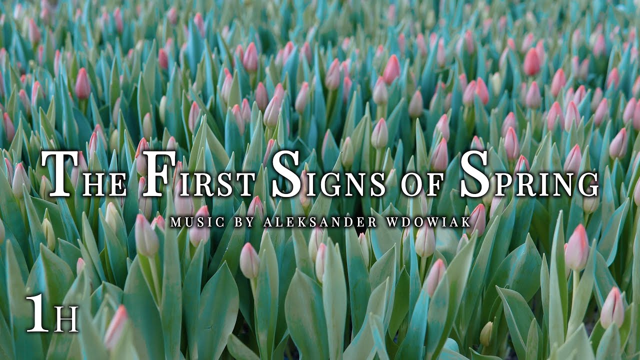 The First Signs of Spring | 1 Hour Relaxing Piano Music for Sleep, Stress Relief & Calm