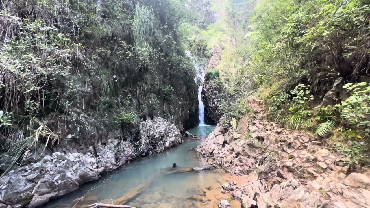 Stop Scrolling. 3 Minutes at This Hidden Water Hole