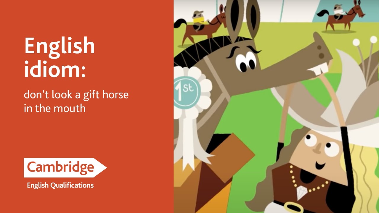 English idiom: don't look a gift horse in the mouth