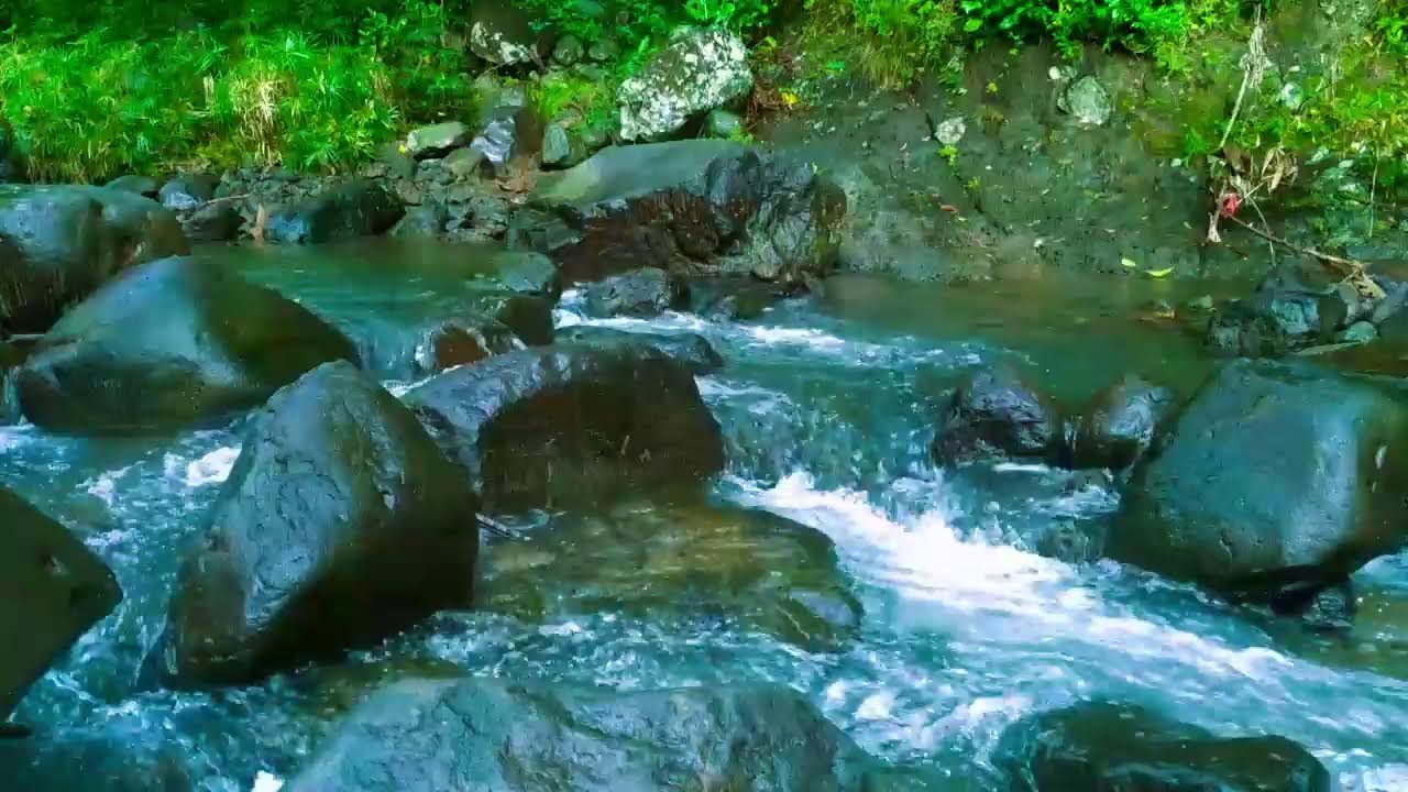 Calming Forest Ambience - Peaceful River Stream Ambience - Relaxing Birdsong Sounds