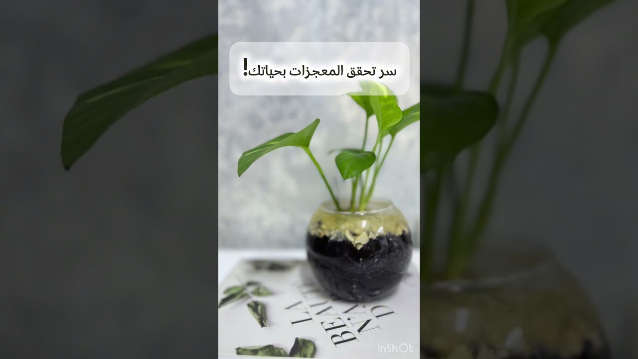 سر تحقق المعجزات بحياتك وإستجابة دعواتك !