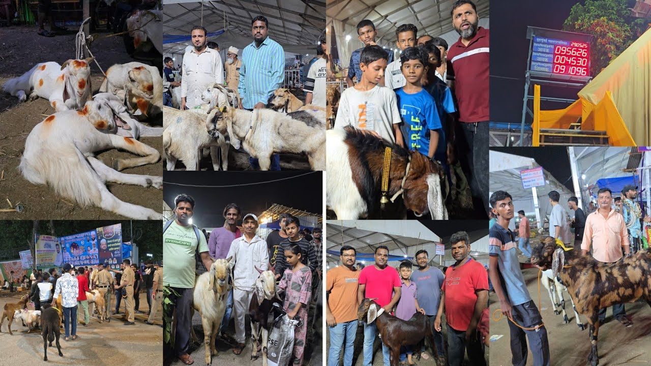 🔴LIVE DEONAR BAKRA MANDI 2025 || VYAPARI HUE PARESHAAN ||