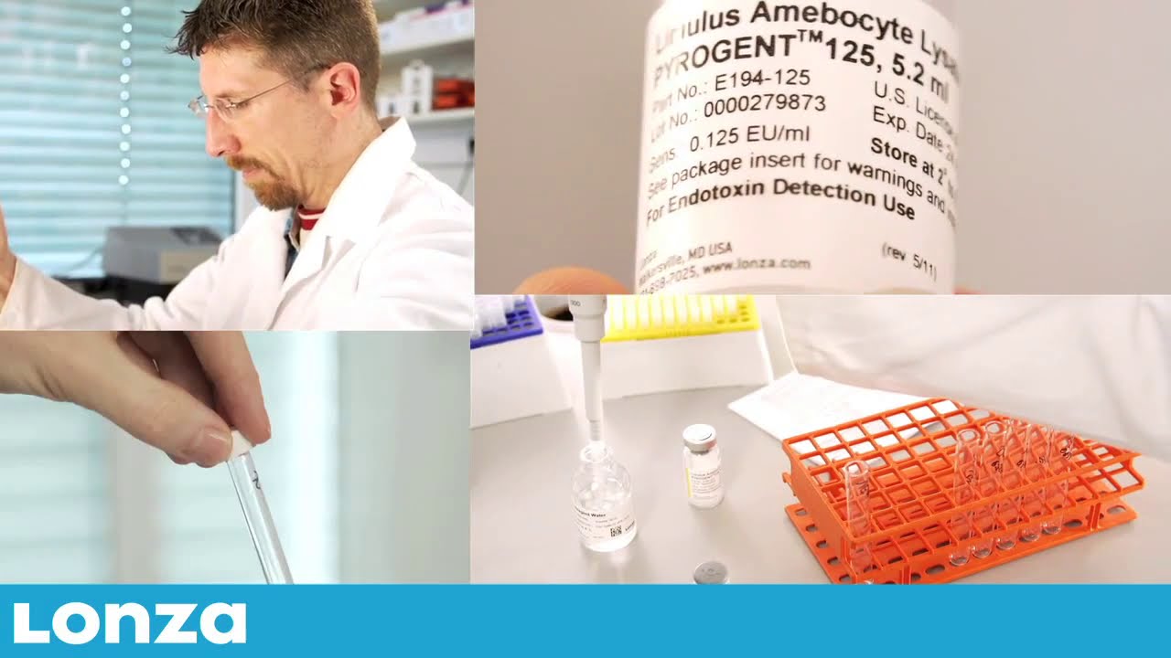 How To Perform The PYROGENT™ Gel Clot LAL Assay
