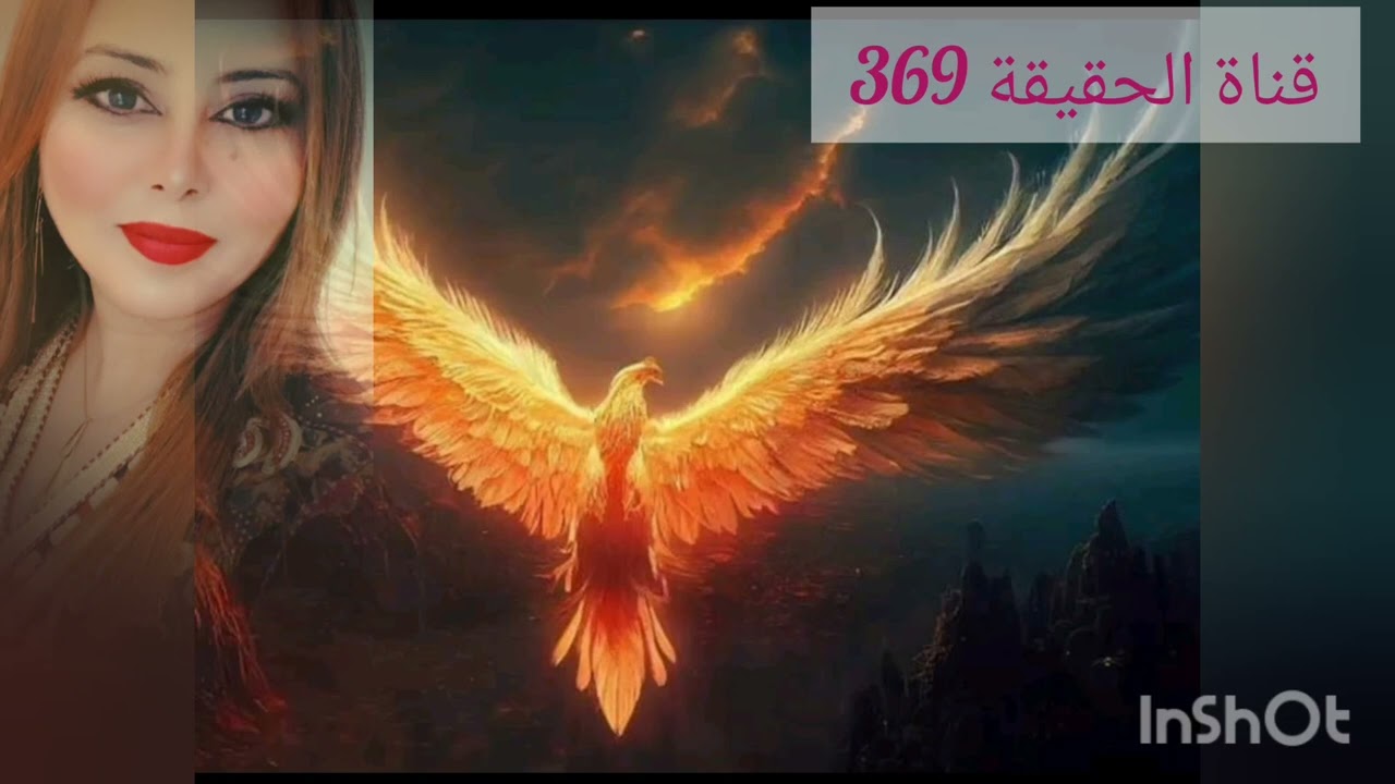 توأم الشعلة كيف يتعامل الهارب مع الليالي المضلمة وهل يشعر المطارد بدالك؟
