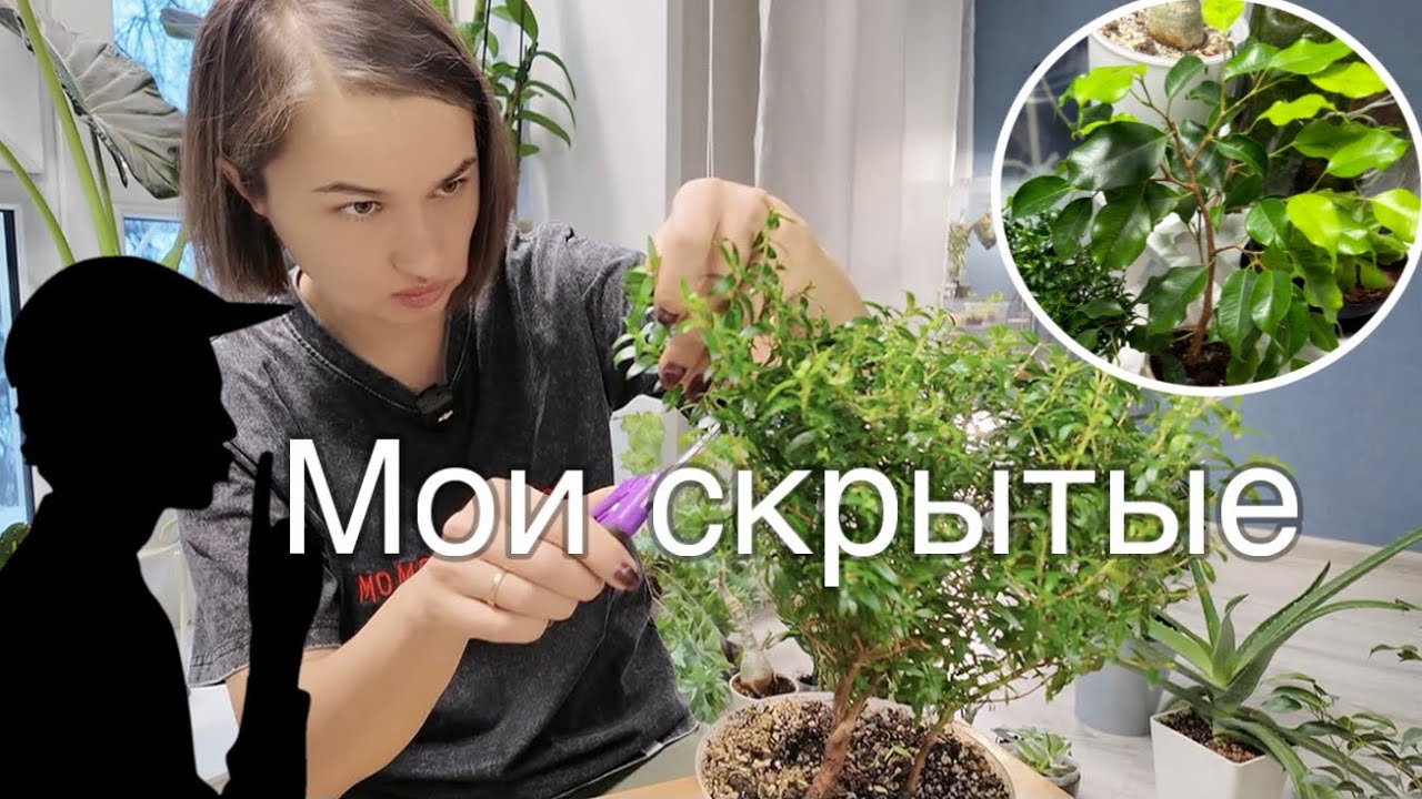 Растения, которые я редко показываю в кадре или не показываю вообще 