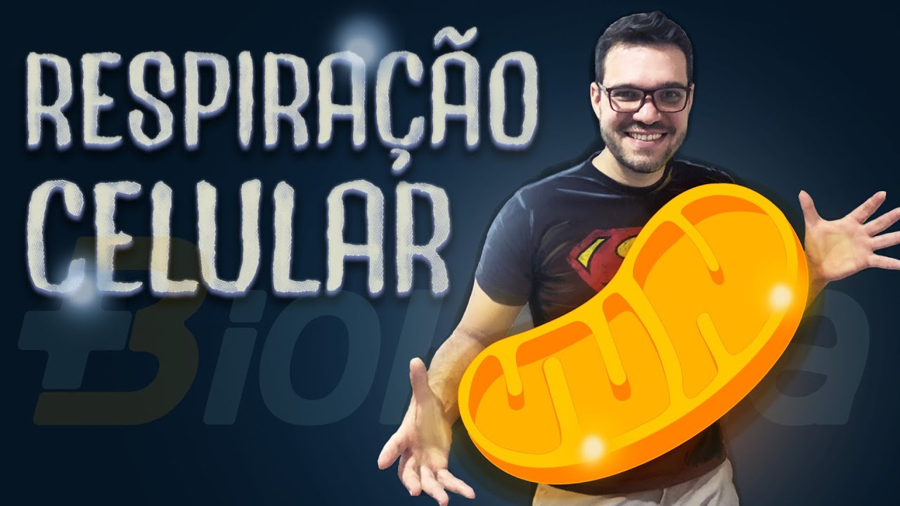 Respiração celular e produção de ATP - Resumo Completo para o Vestibular e ENEM!