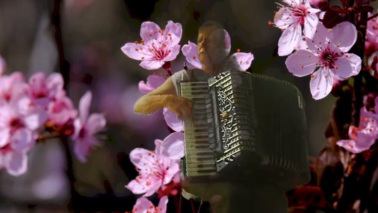 “Contigo aprendí”