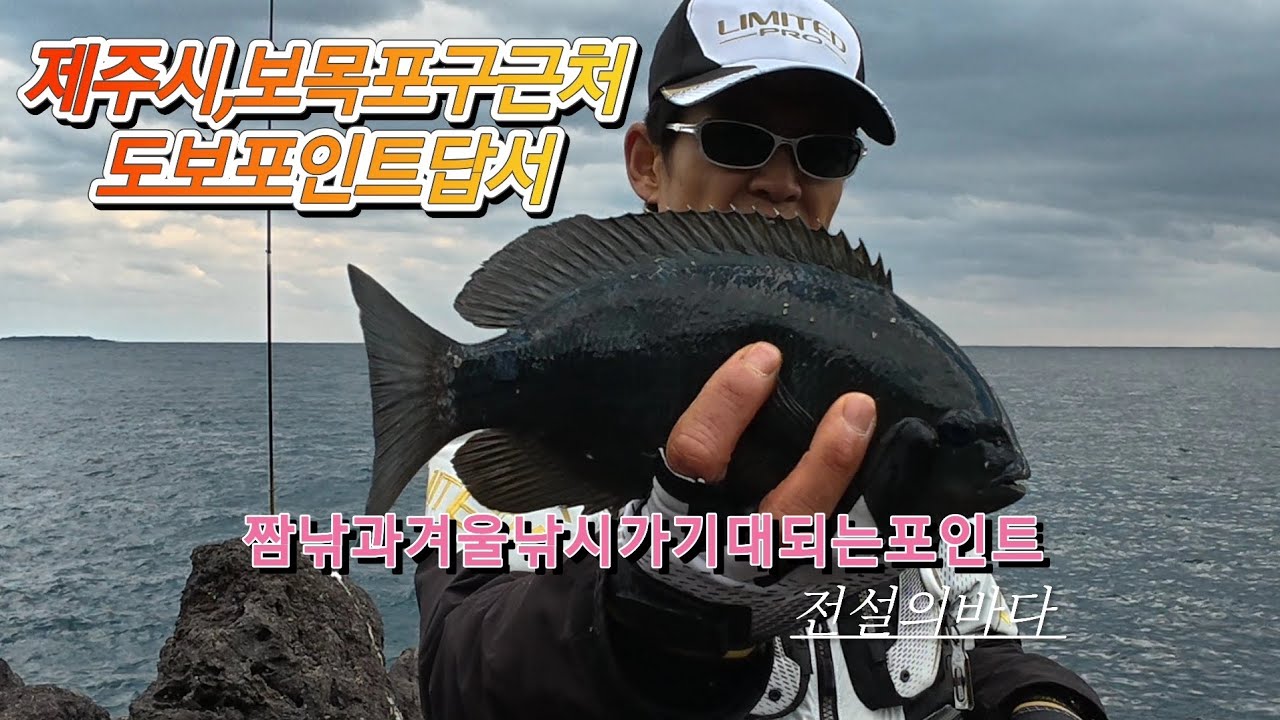 제주도.보목포구근처 도보포인트답사