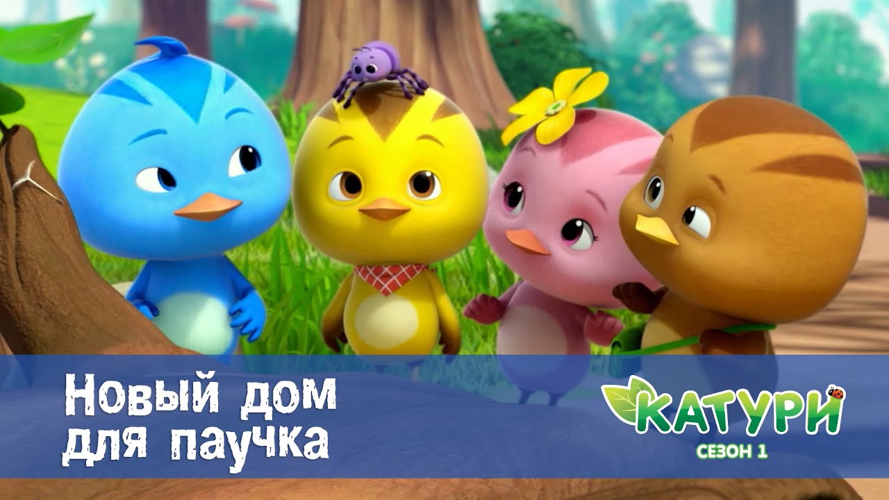 Катури. Сезон 1 - Серия 8.Новый дом для паучка - Мультфильм для малышей