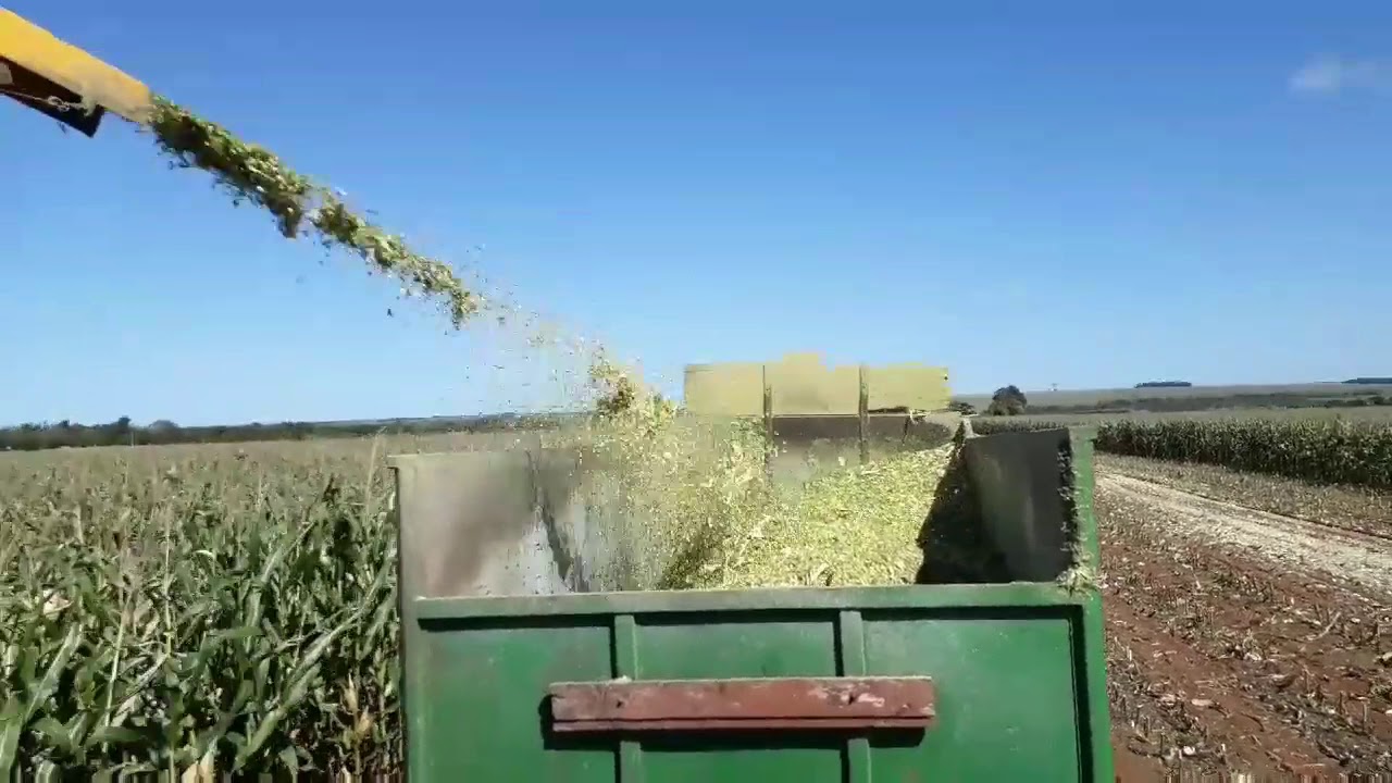 Landini fazendo silagem