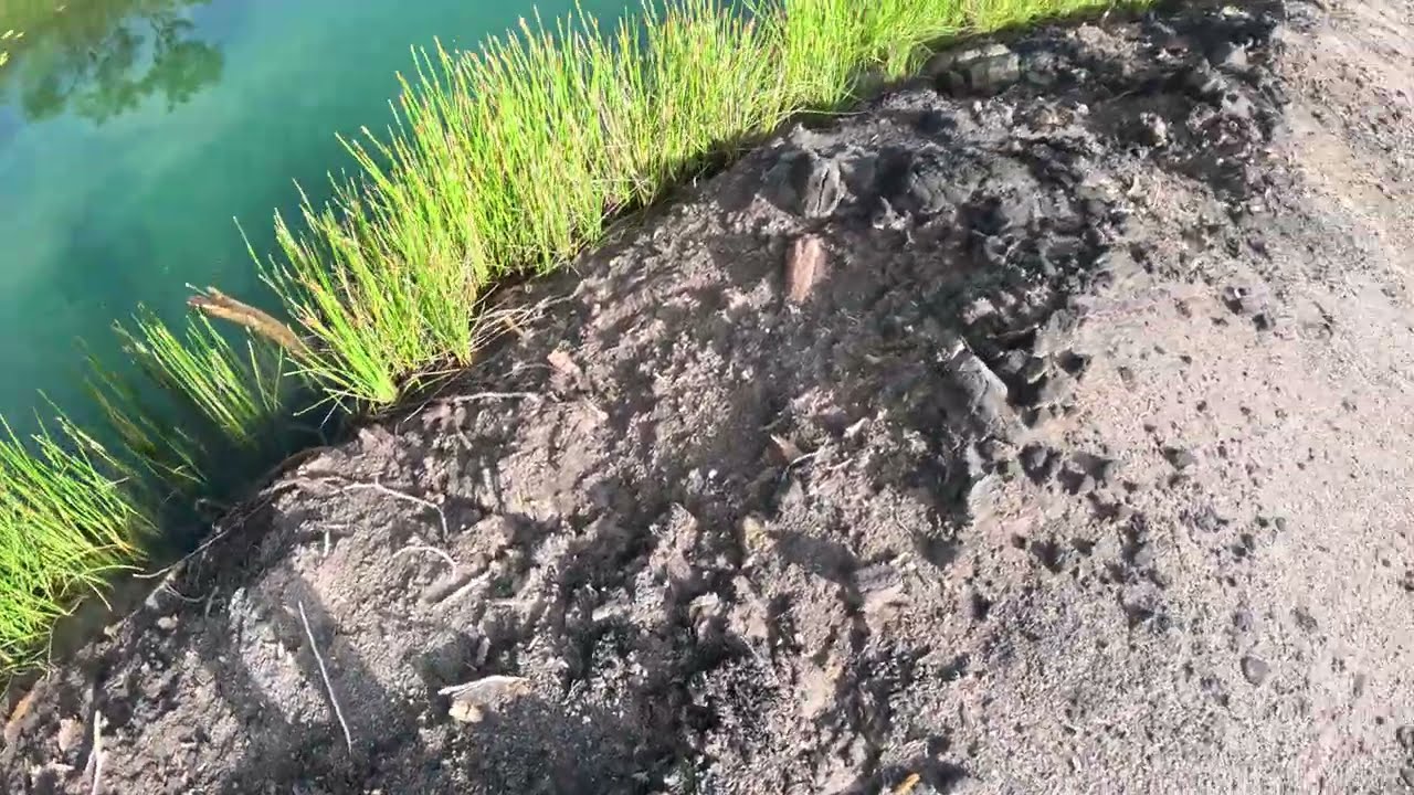 Checking the condition of the deep dugout ponds after 3 years of sitting.