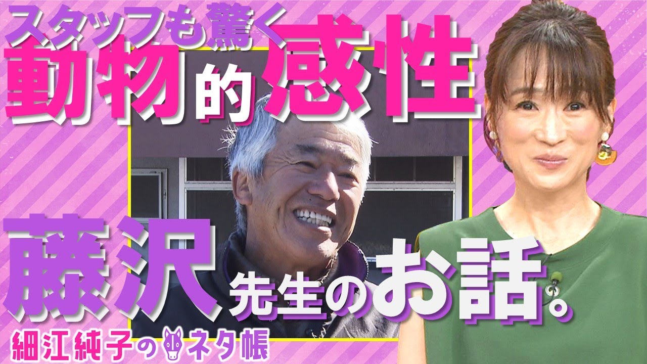 歴代2位の勝利数！名伯楽・藤沢和雄調教師の知られざる特技とは？【細江純子のネタ帳《阪急杯&中山記念》】