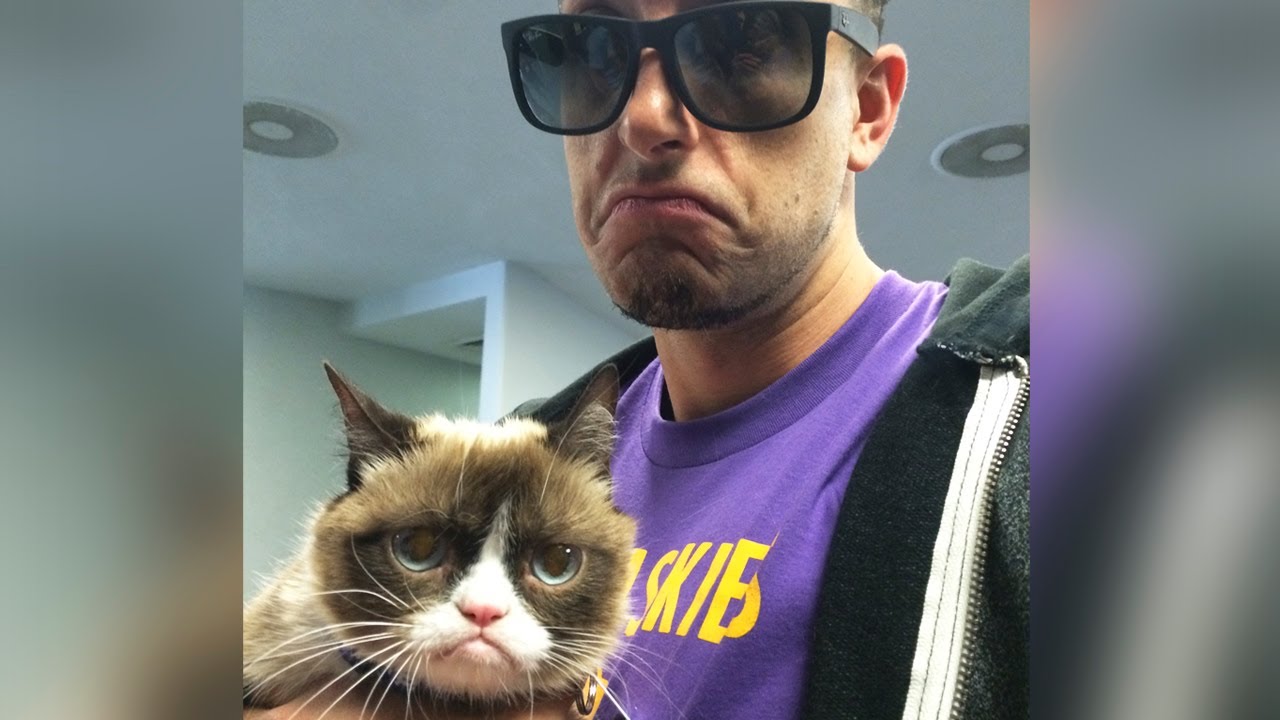HANGING OUT WITH GRUMPY CAT