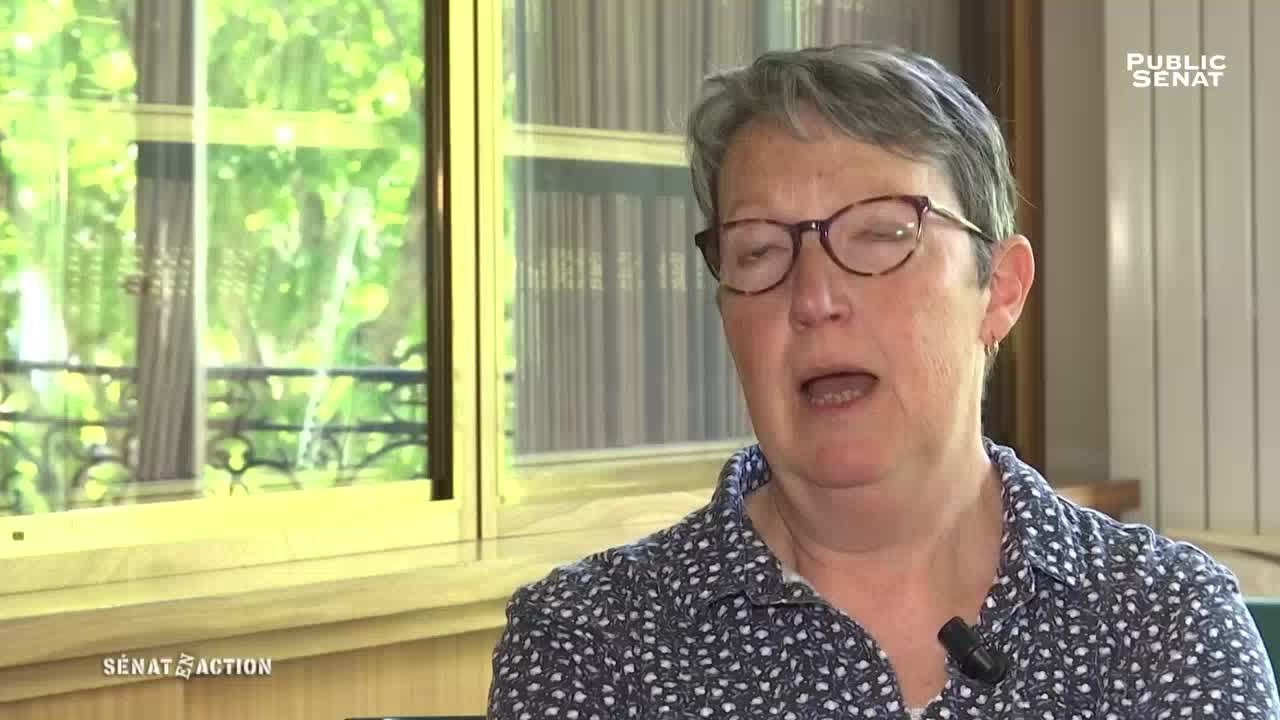 L'&eacute;cole &agrave; trois ans, une question d'argent ? - S&eacute;nat en action (04/06/2019)