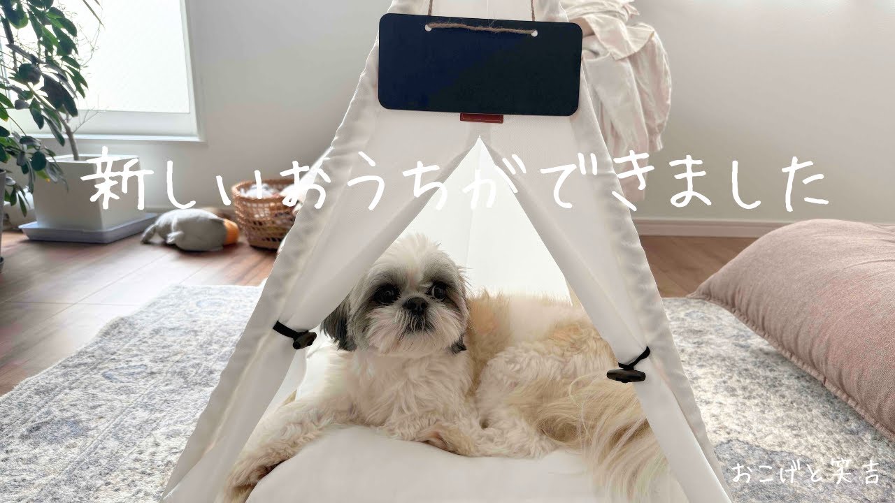 新しいおうち