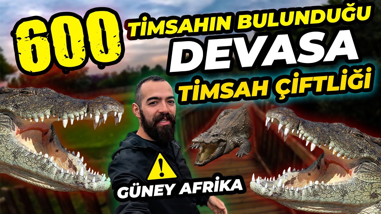 AFRİKA'DA 600 TİMSAHIN BULUNDUĞU DEVASA ÇİFTLİK!