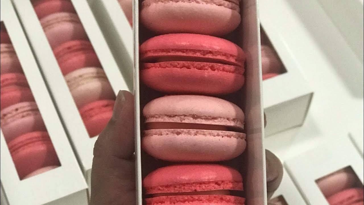 How to fold a macaron box with easy steps