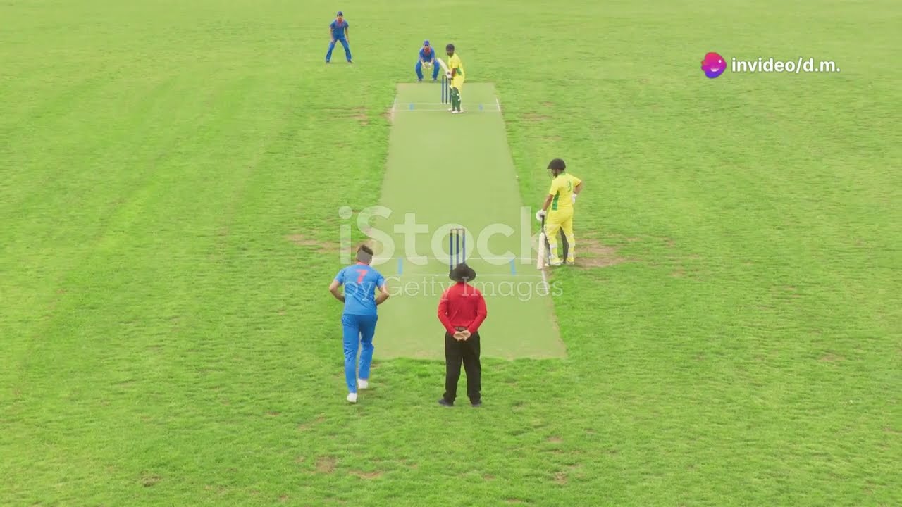 monkey catch the ball !!!!batter virat kholi the baller was mitchel strac