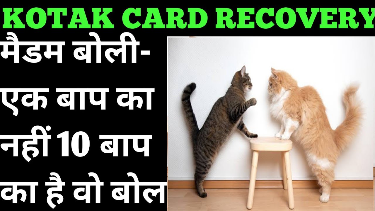 Agent Call On Sunday😱 kotak recovery | kotak recovery agents | kotak card recovery