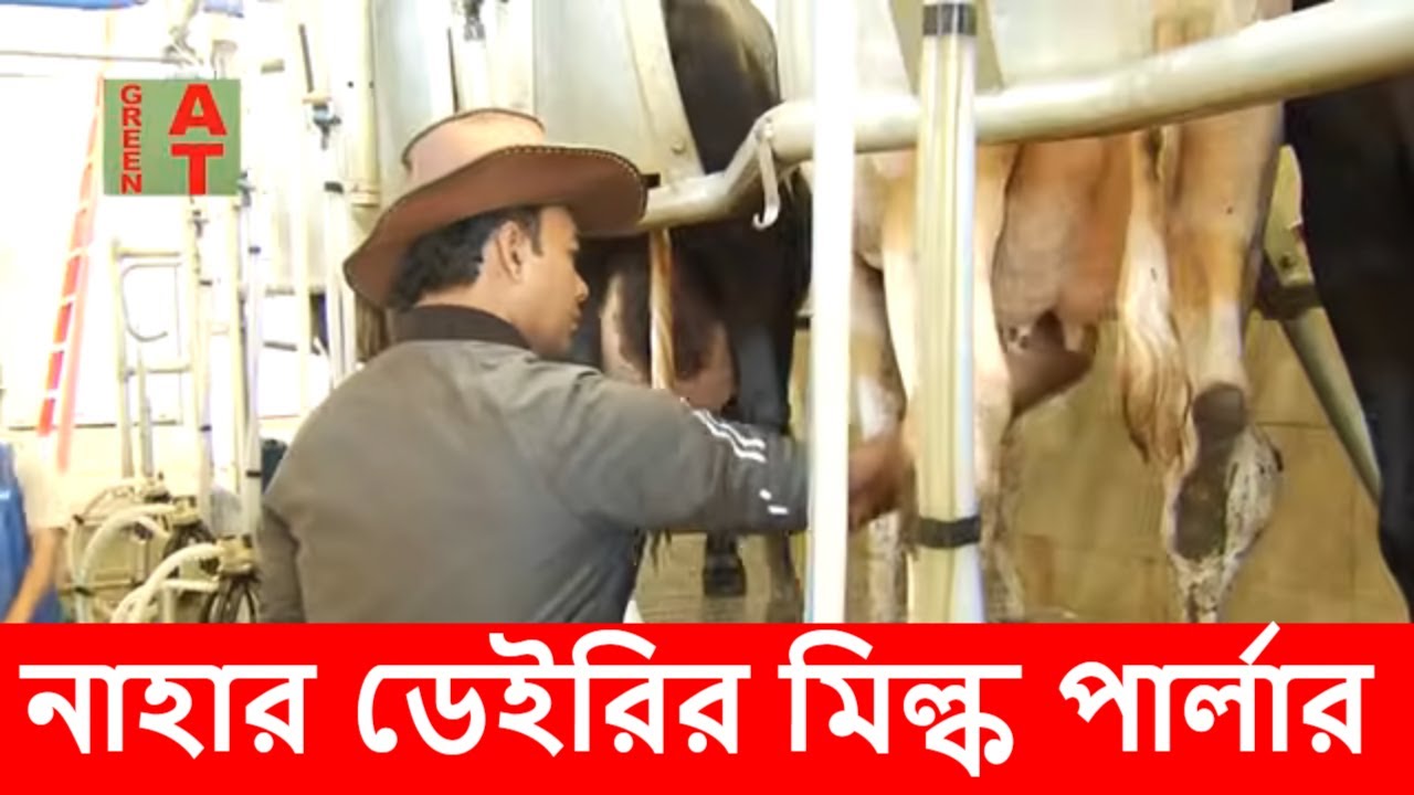 এবার দেখুন, নাহার ডেইরির মিল্ক পার্লার | Nahar Dairy Milk Parlor