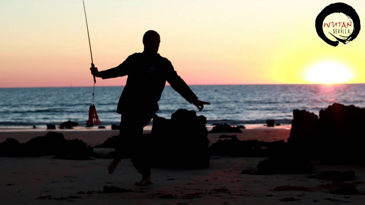 Hun Yuan Taijiquan. Wutan Sevilla