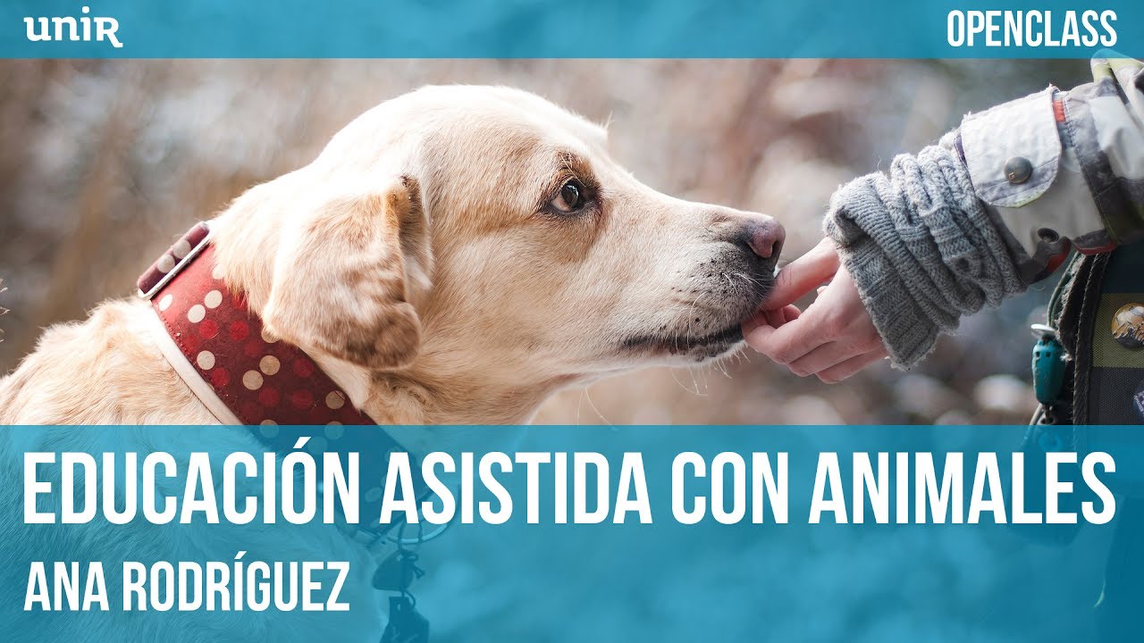 Educación asistida con animales | UNIR OPENCLASS