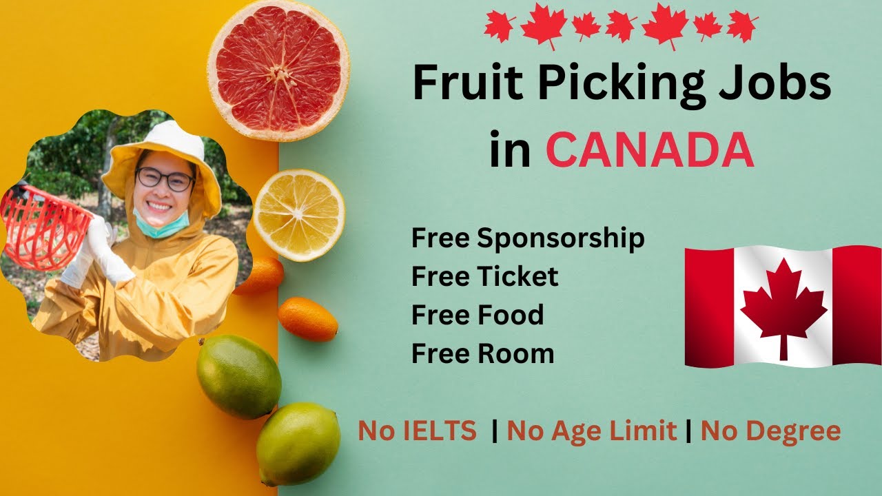 Fruit Picking Jobs in Canada | Work in Canada
