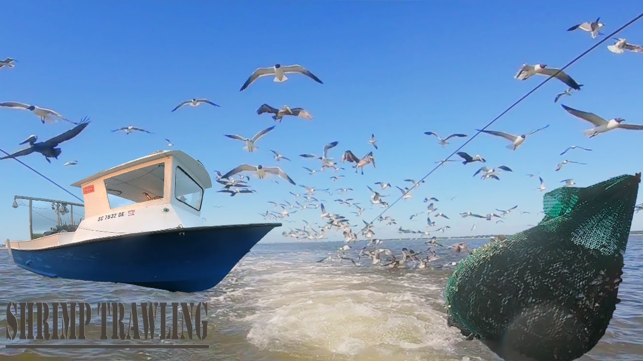Can a Small Trawl Boat be Profitable/Trawling for White Shrimp