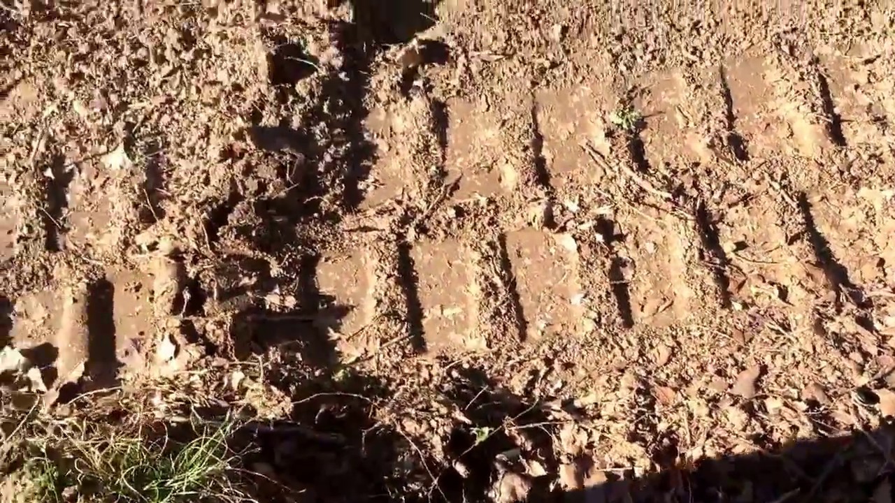 Video I been meaning to put up fence row clearing!!!