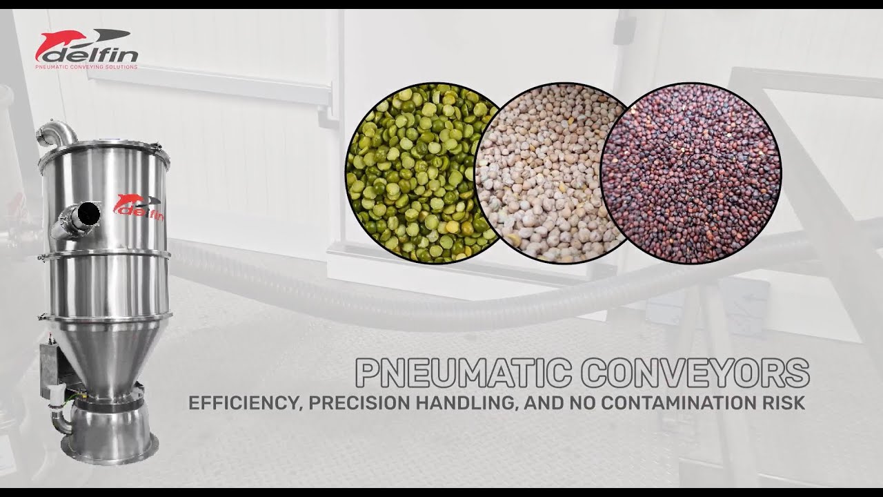 Pneumatic conveying system for transferring mixtures of legumes and cereals to a multihead