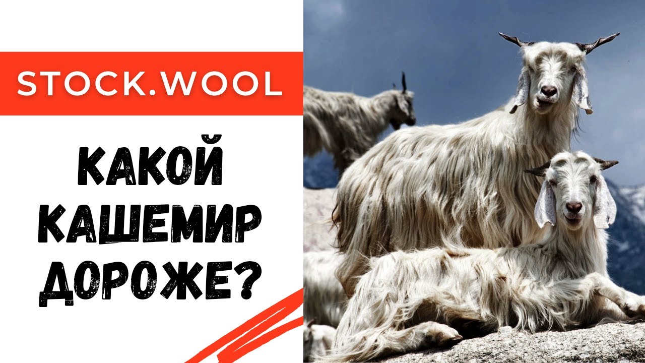 Какой кашемир дороже кардный или гребенной? И почему?