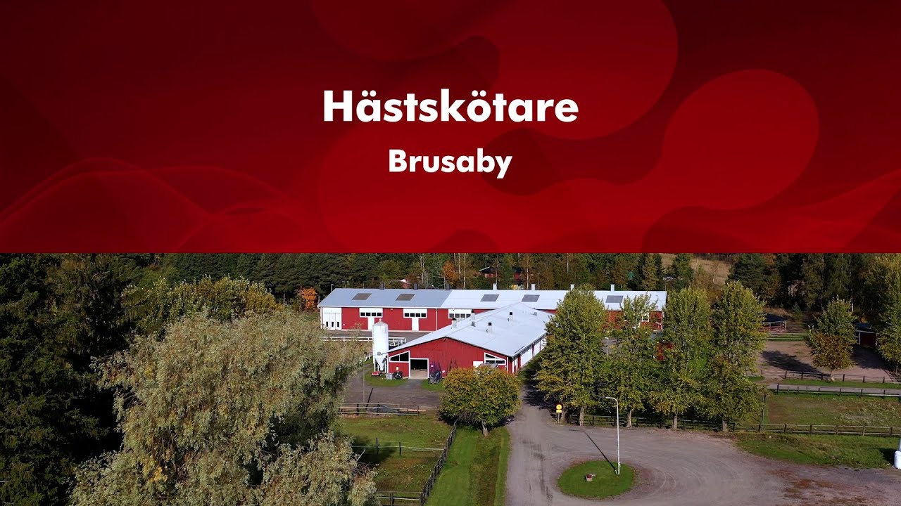 Axxell Hästskötare - VAD är DITT drömyrke?