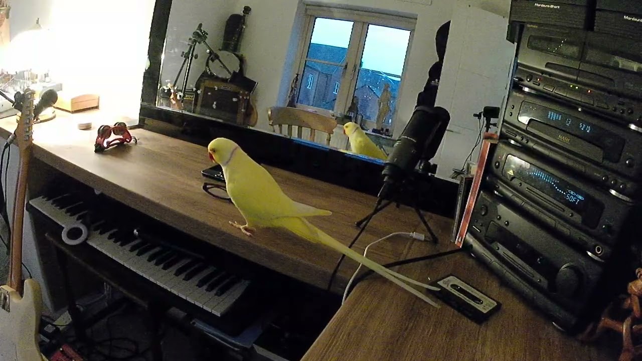 The Bottomless Basket Case - Part 1