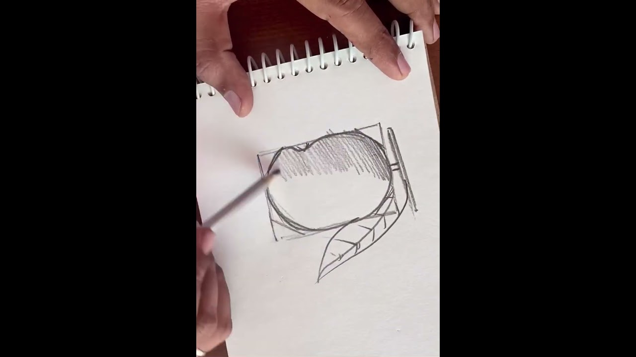 How to make mango (pencil drawing)