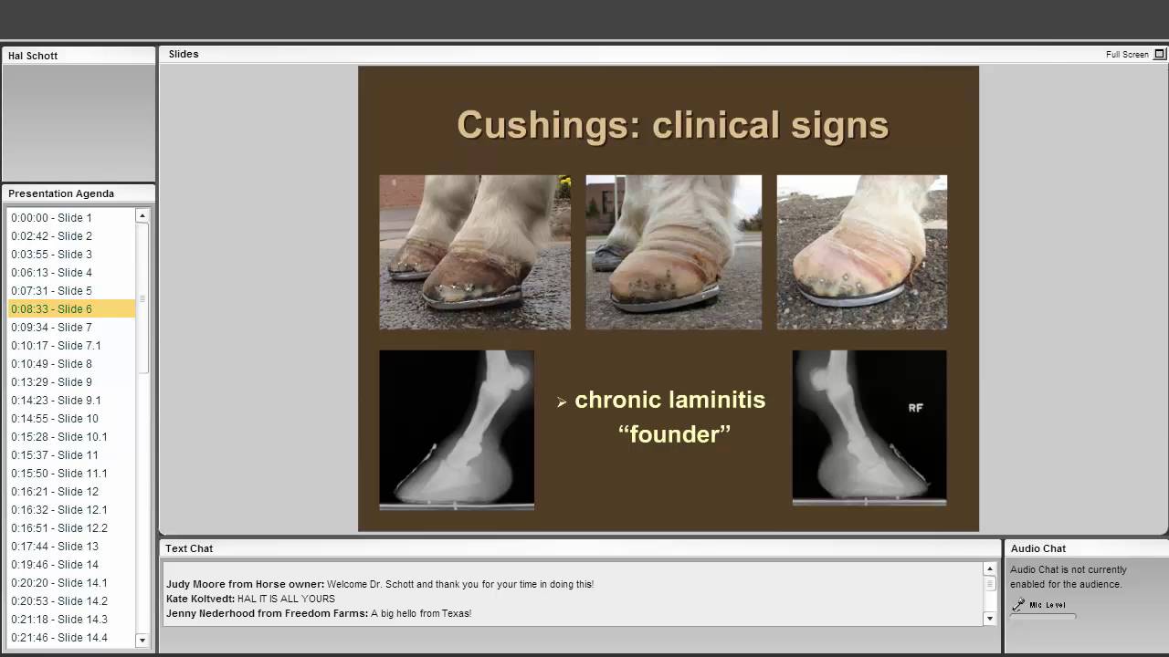 Equine Cushings Disease: Challenges of Diagnosis and Treatment