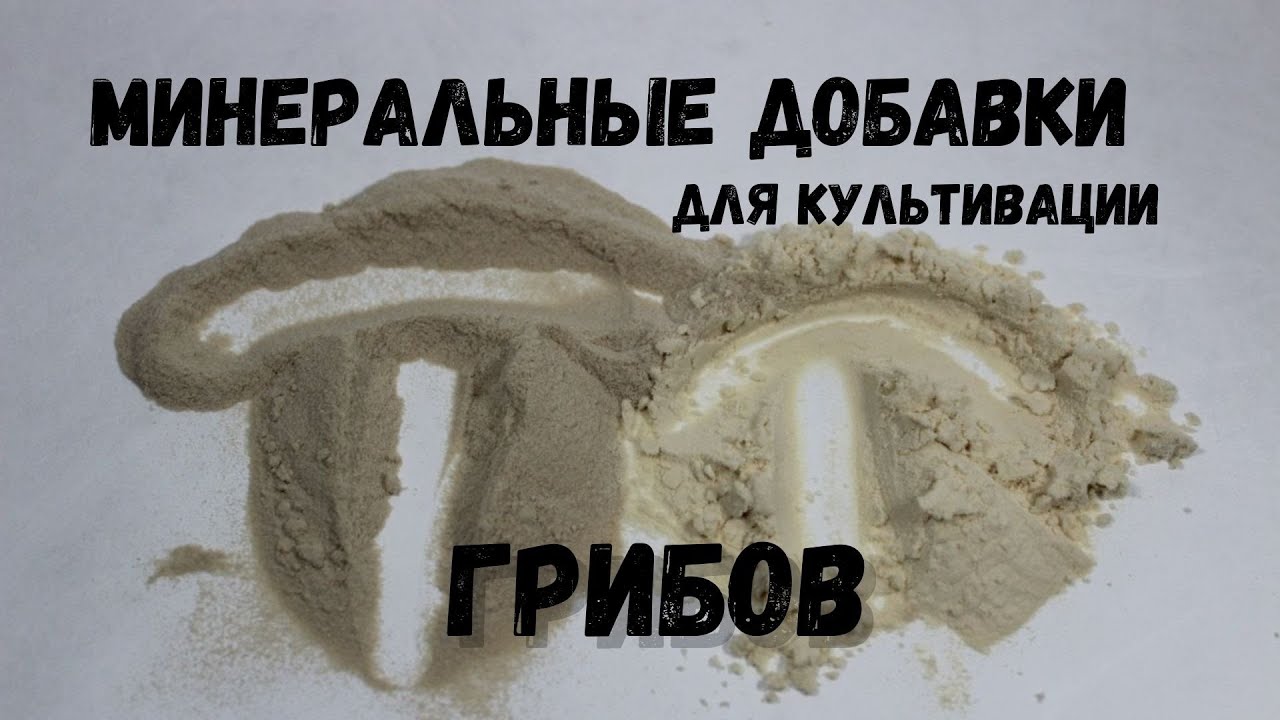 Минеральные добавки для выращивания Грибов - Гипс - Известь