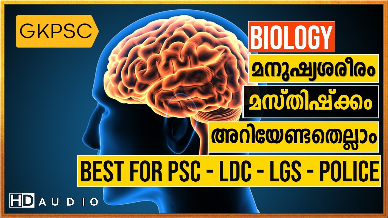 Brain | Human Body | Biology  | Question Answer | Kerala PSC Coaching Class |  VEO - LGS - LDC  Exam