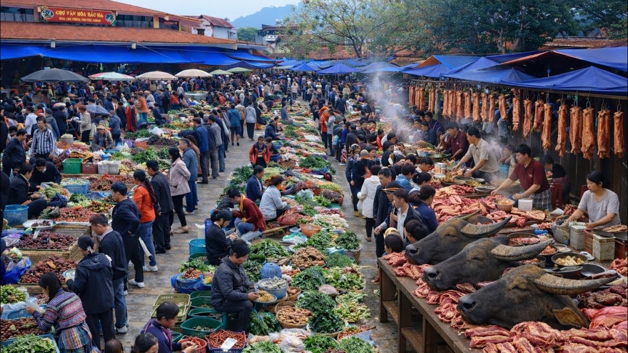Nhộn Nhịp Chợ Bắc Hà | Ẩm Thực Núi Rừng, Của Lạ Trên Rừng Khiến Chị Em Thích Thú