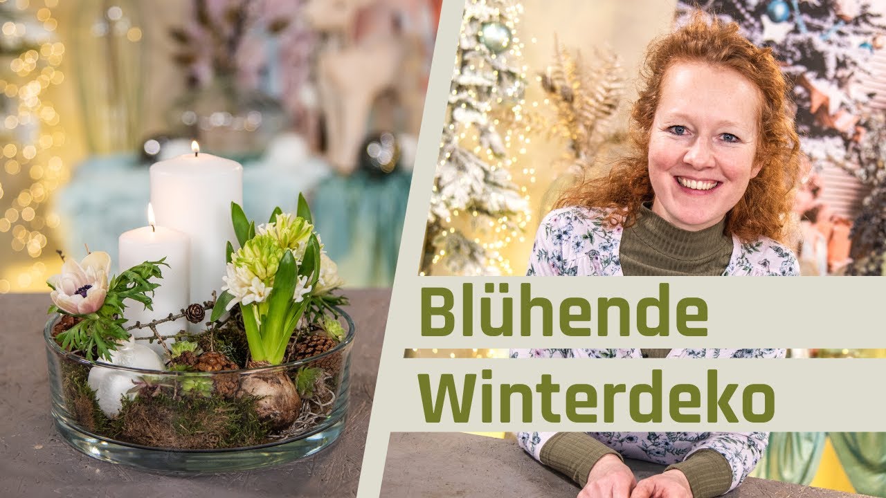 Tischdeko Winter | Natürliche Dekoschale Hyazinthen und Sukkulenten
