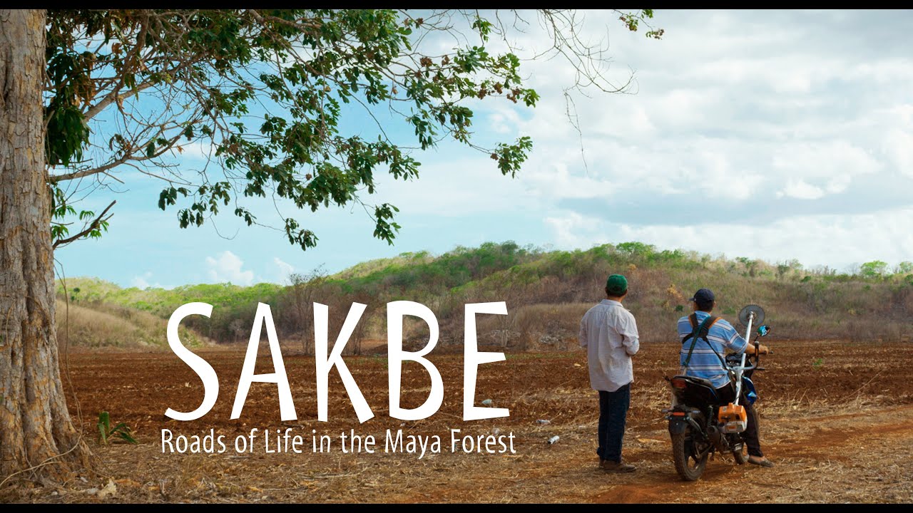 Sakbe - Roads of Life in the Maya Forest