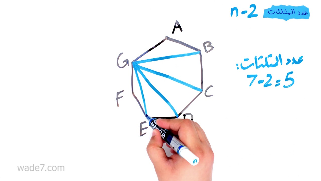 زوايا المضلع