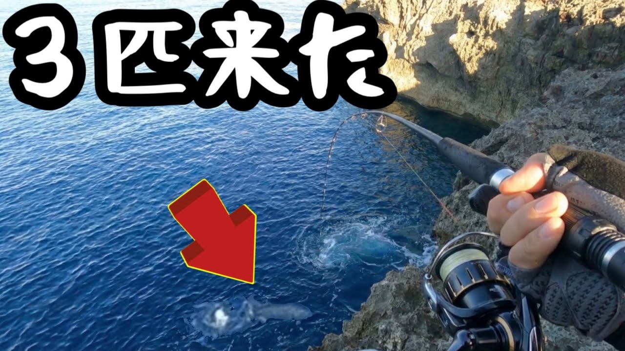 まさにモンスターの巣窟