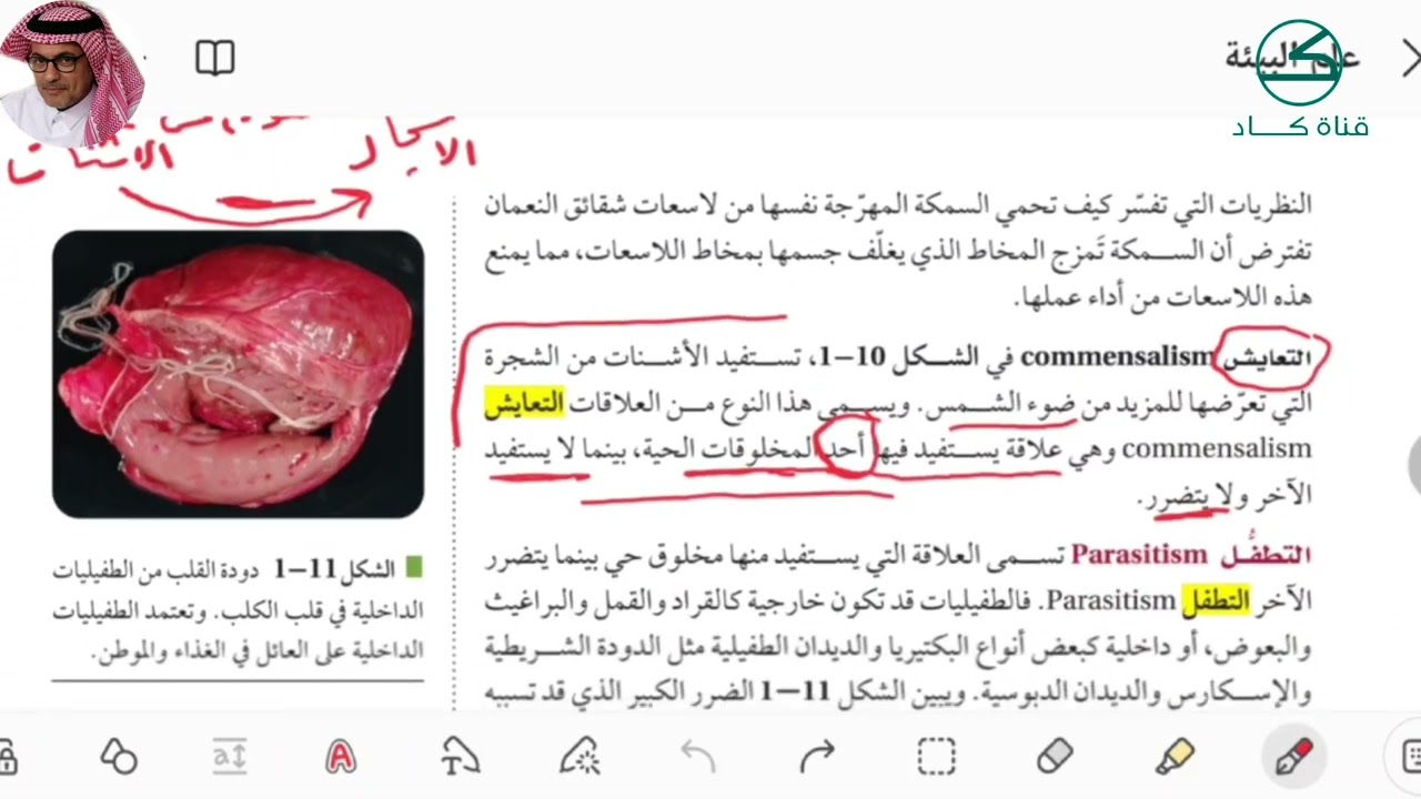 العلاقات المتبادلة في النظام البيئي ٢
