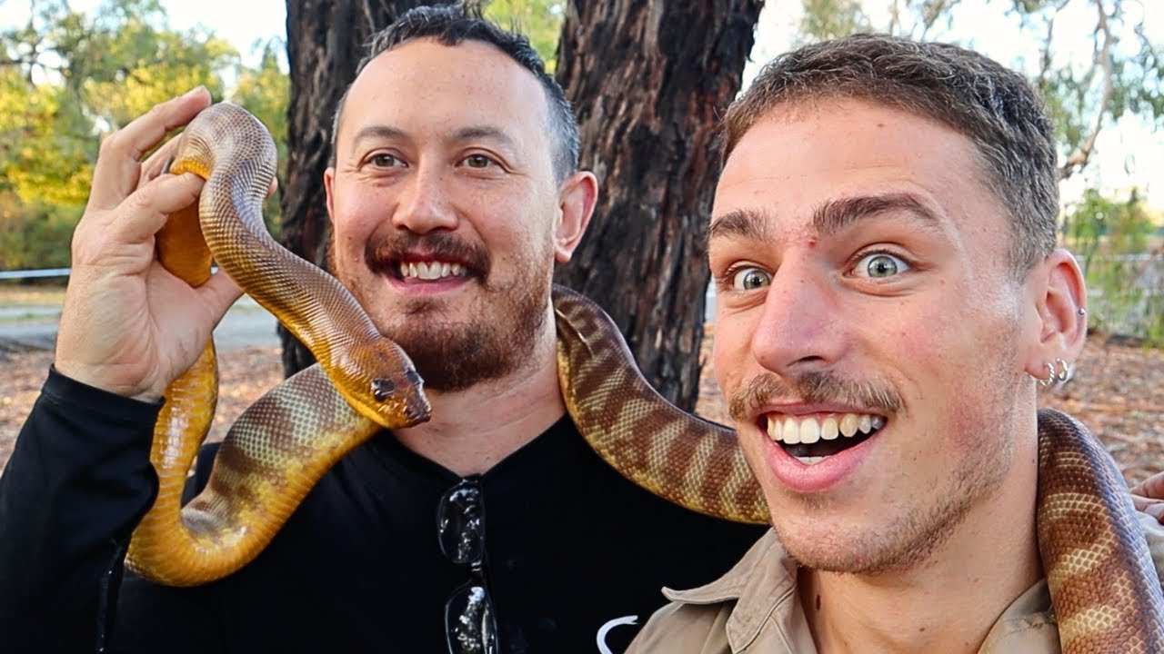 Catching Australia&rsquo;s Most Deadly Snakes With A Snake Hunter