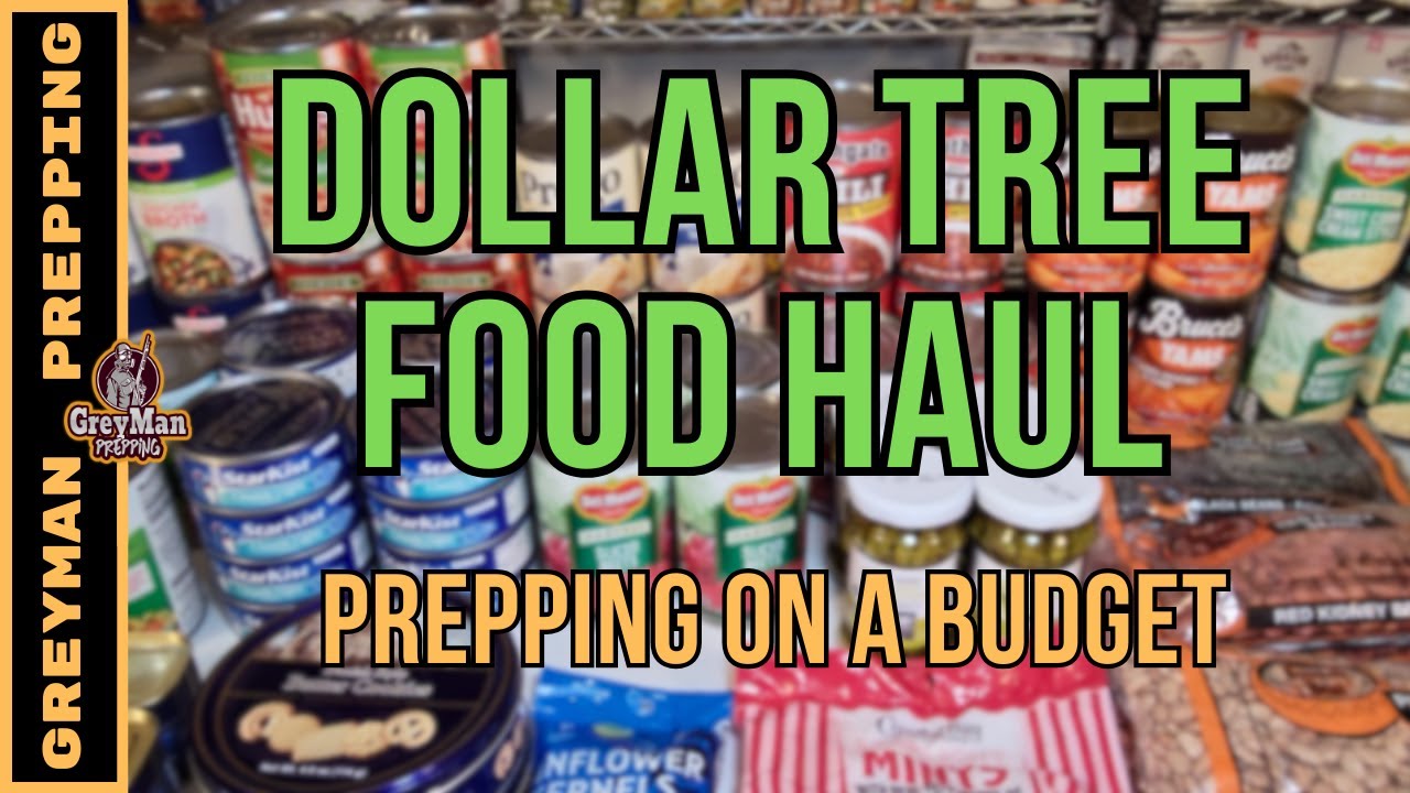 Dollar Tree Food  Haul | Shopping On A Budget