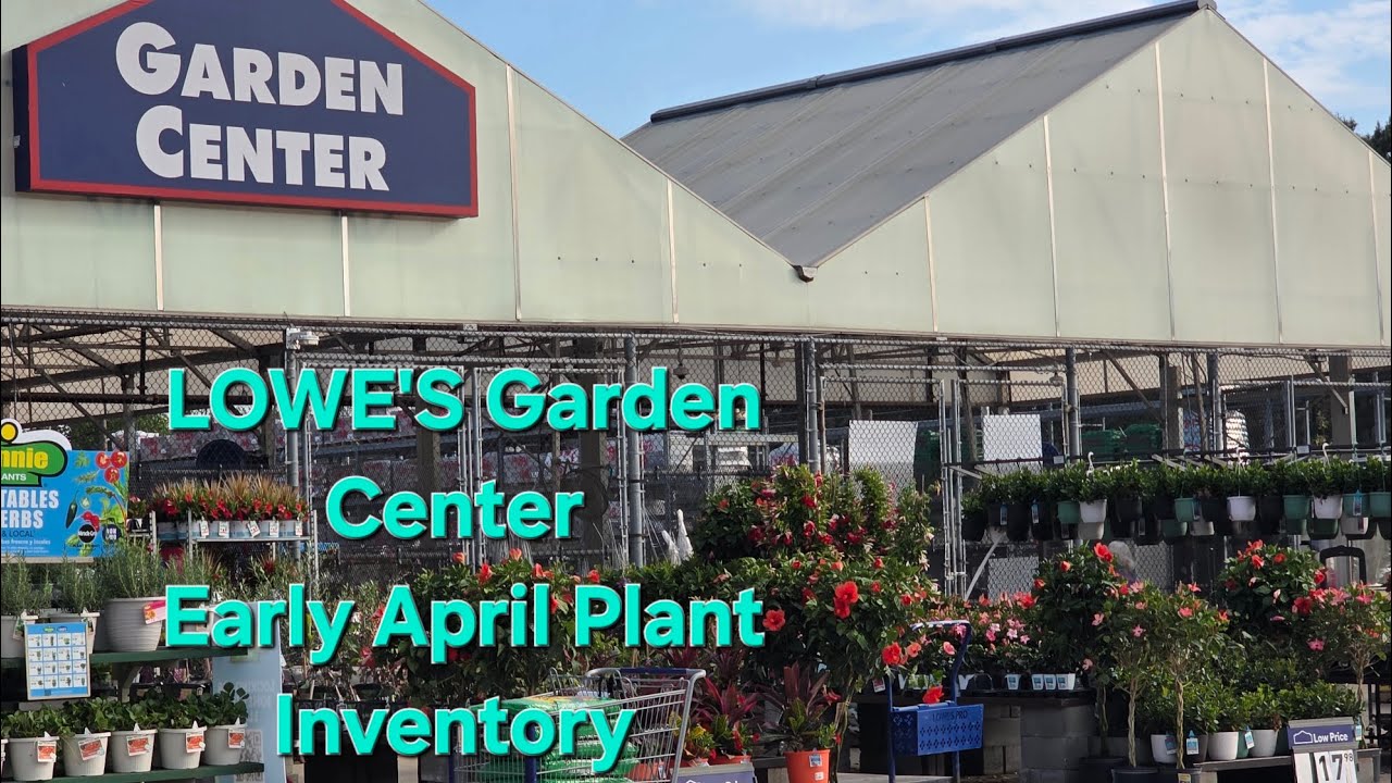 Lowe's Garden Center Early April Plant Inventory 🪴 