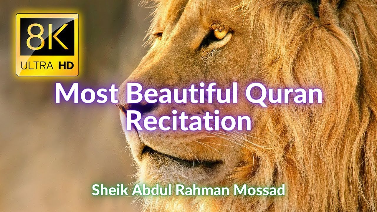 Most beautiful Quran recitation | 4K Video | Animal Kingdom 4K video || sheik Abdul Rahman Mossad