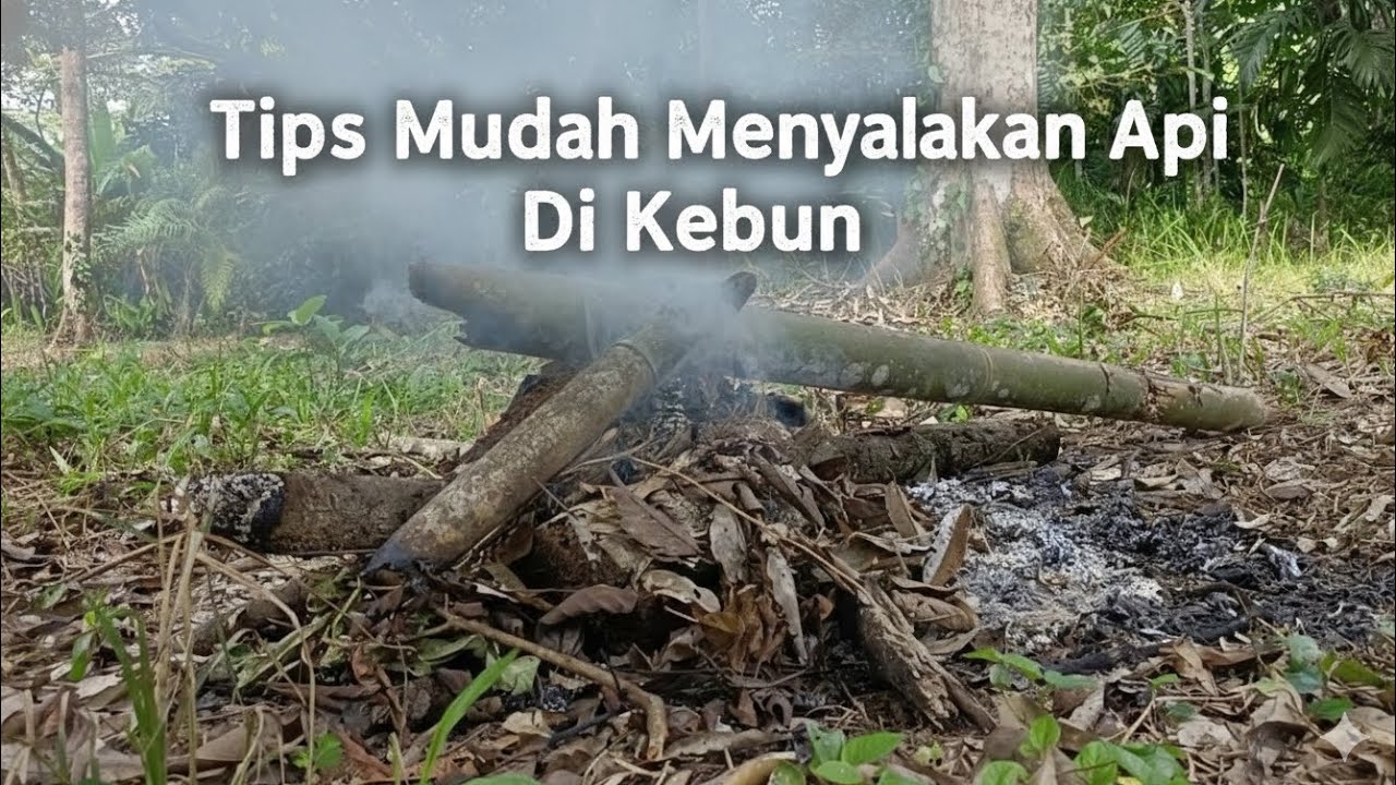 Tips Mudah Menyalakan Api Di Kebun